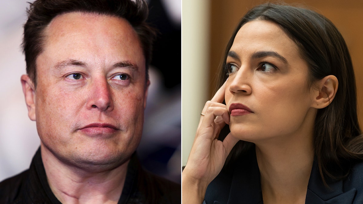 Elon Musk, Alexandria Ocasio-Cortez