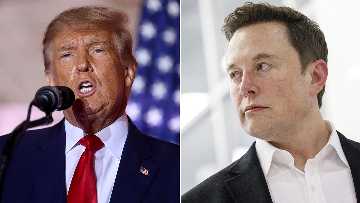 Donald Trump and Elon Musk