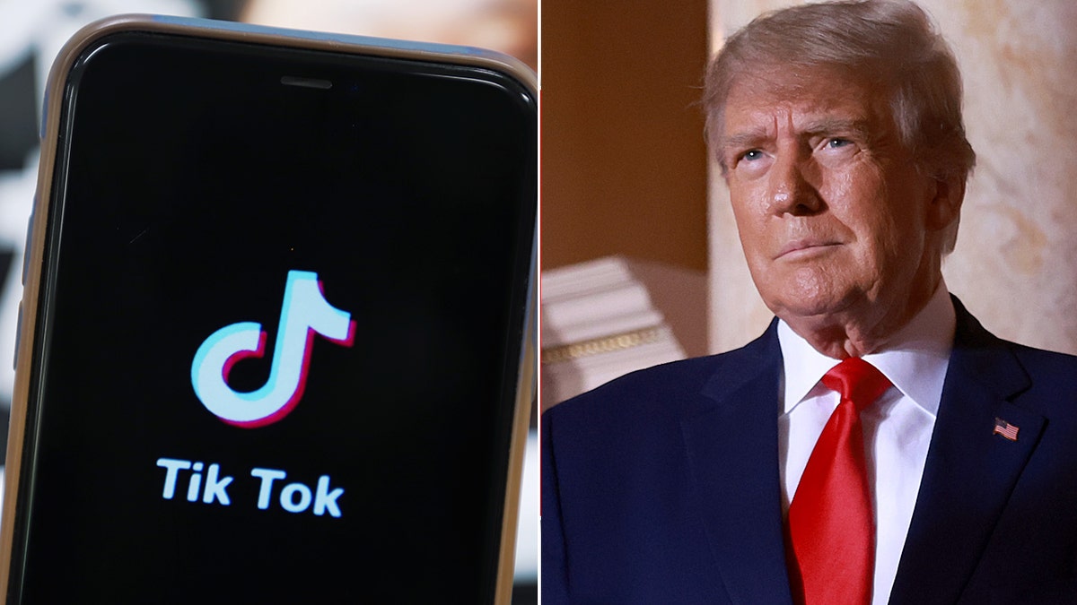 A photograph  of the TikTok logo and Donald Trump