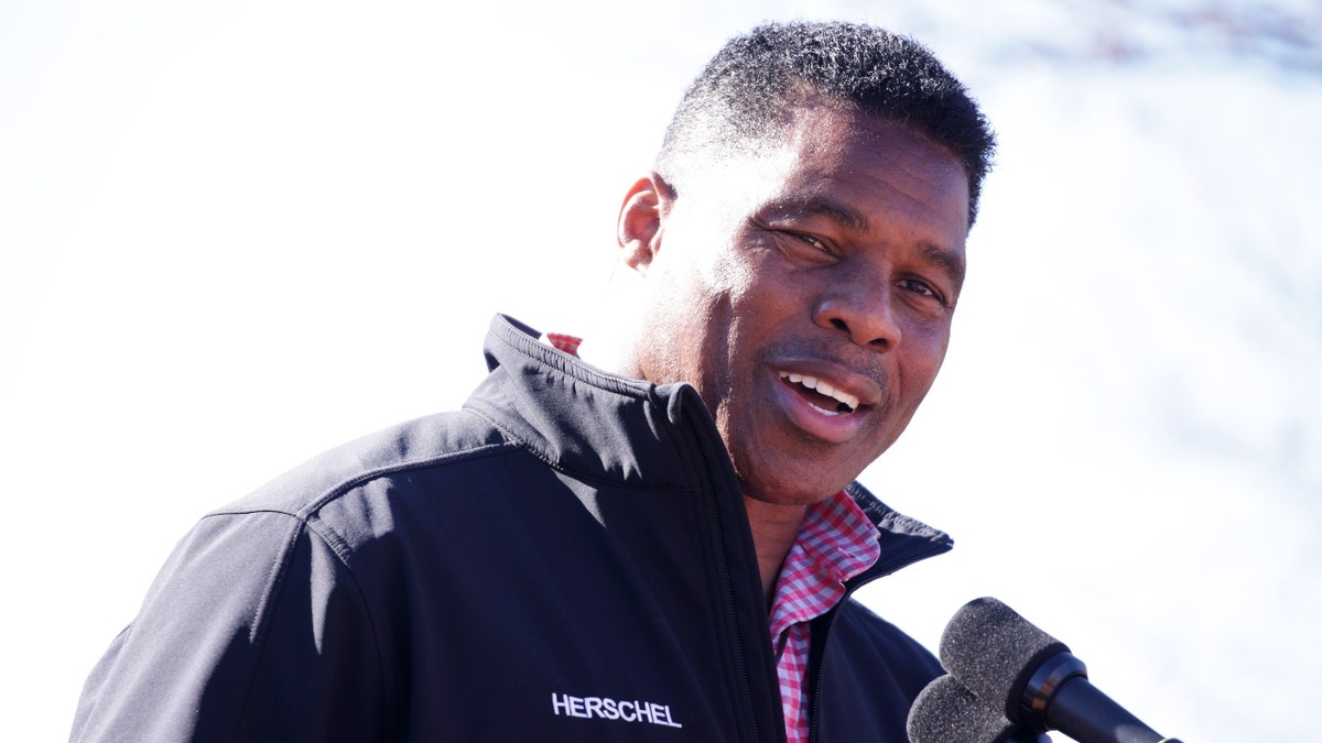 Republican Georgia Senate nominee Herschel Walker