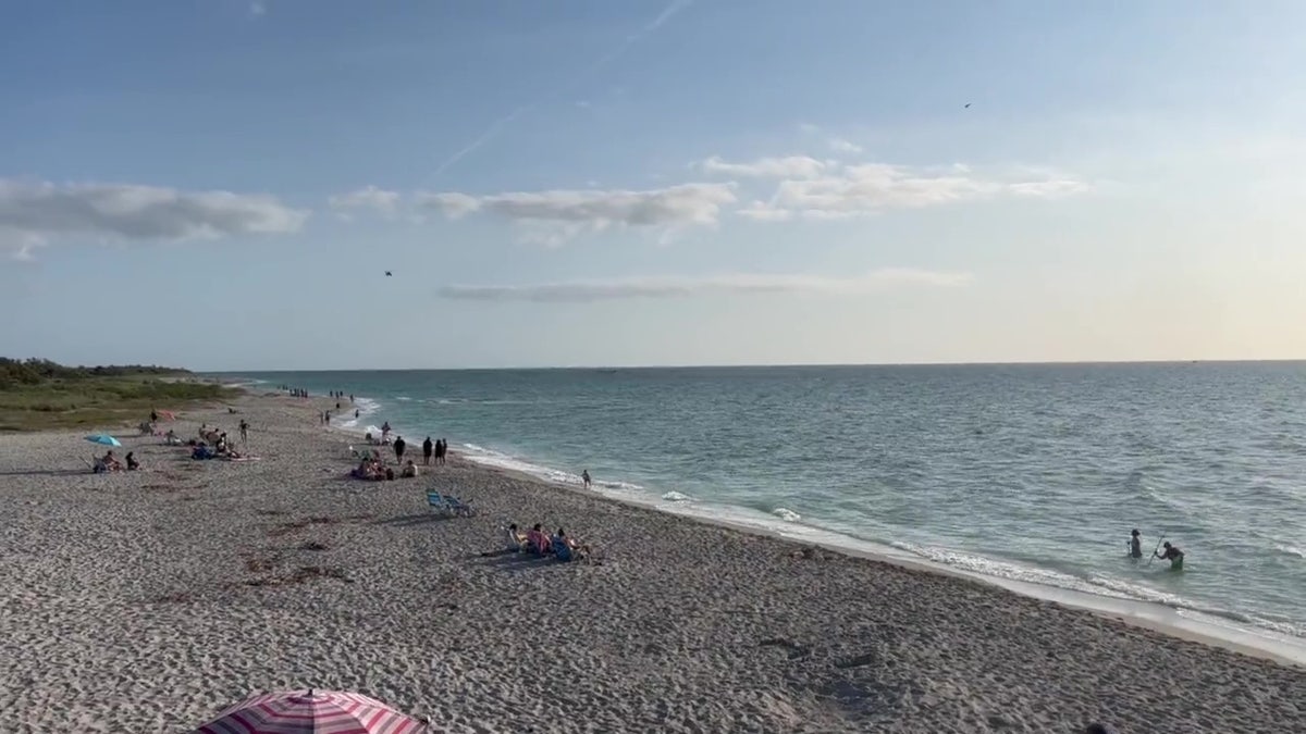 Venice Beach Florida helicopter crash