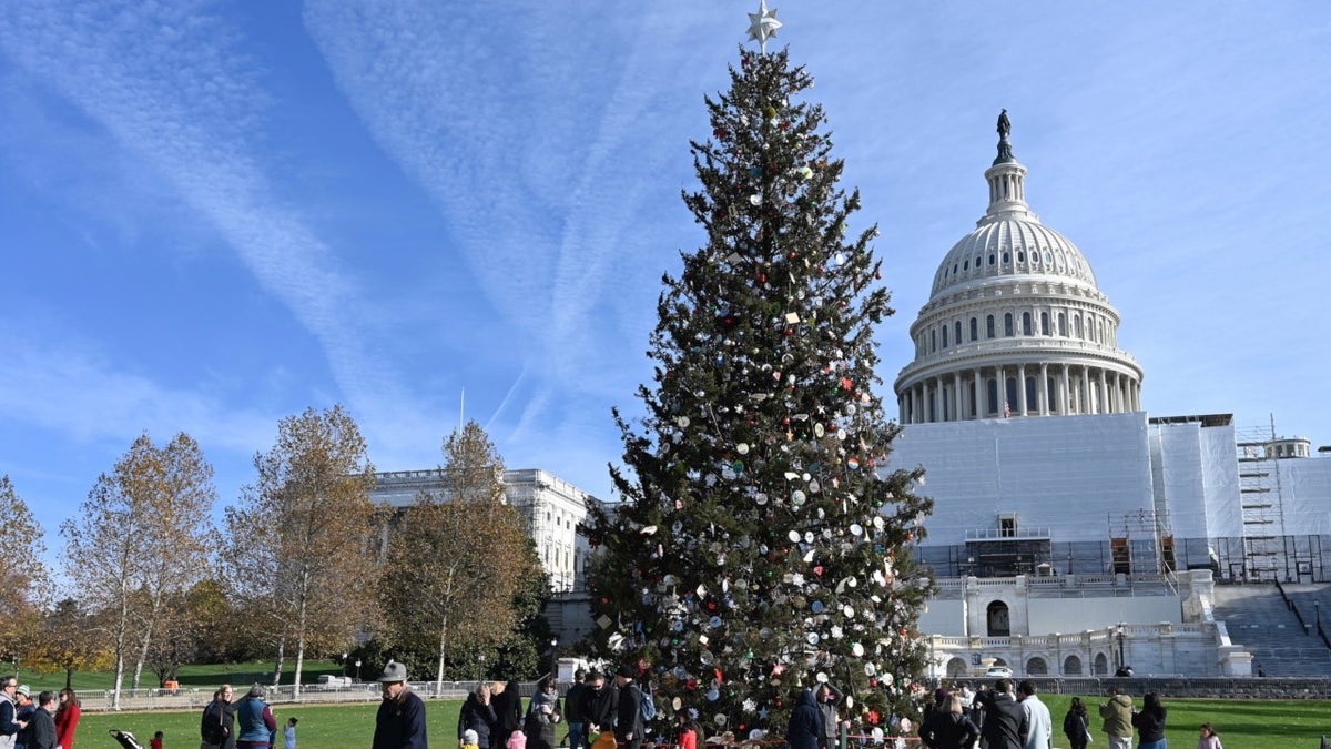Capital Christmas Tree