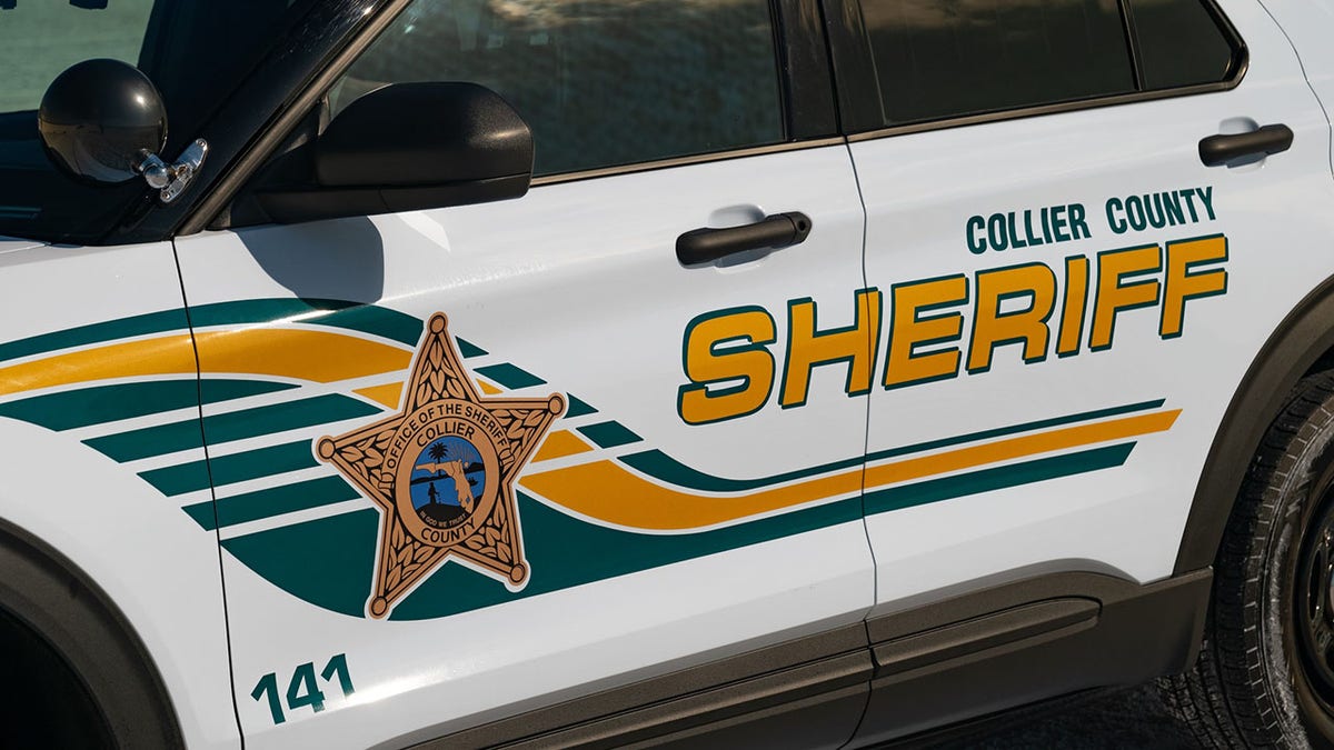 florida collier county sheriff department vehicle