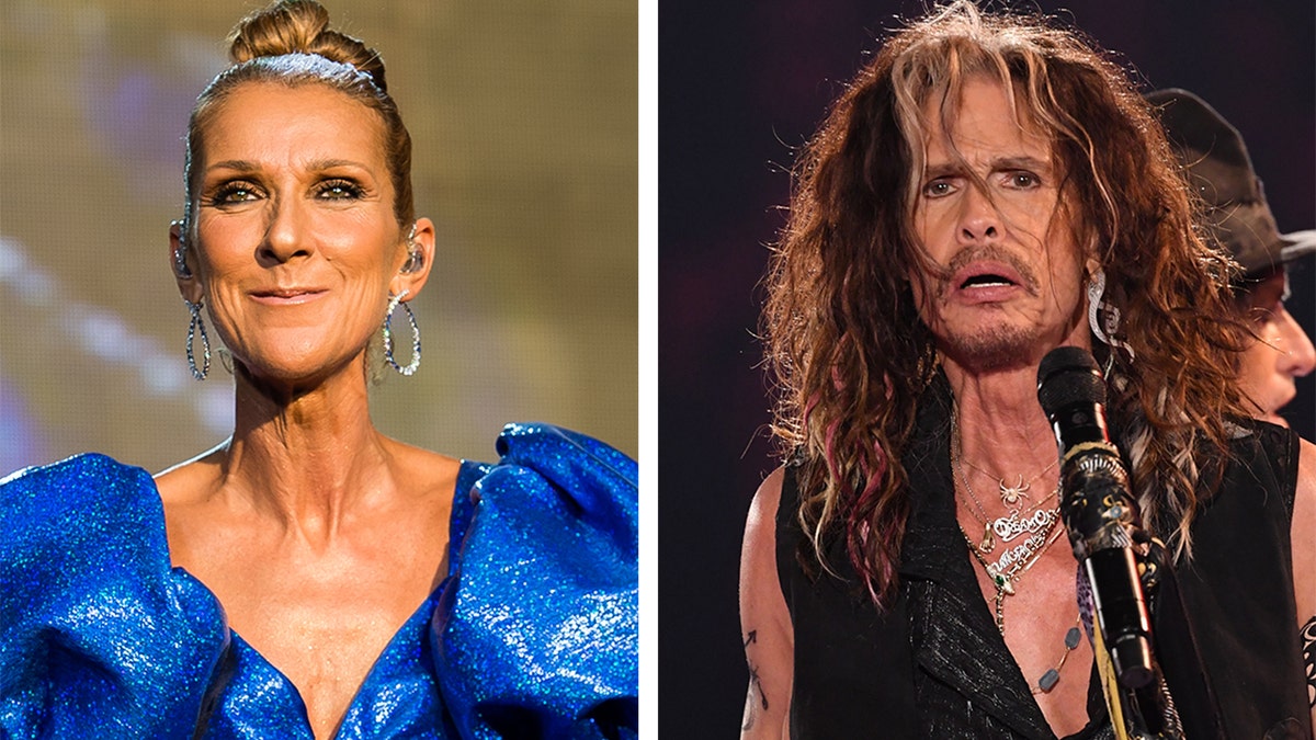 Celine Dion and Aerosmith split photo