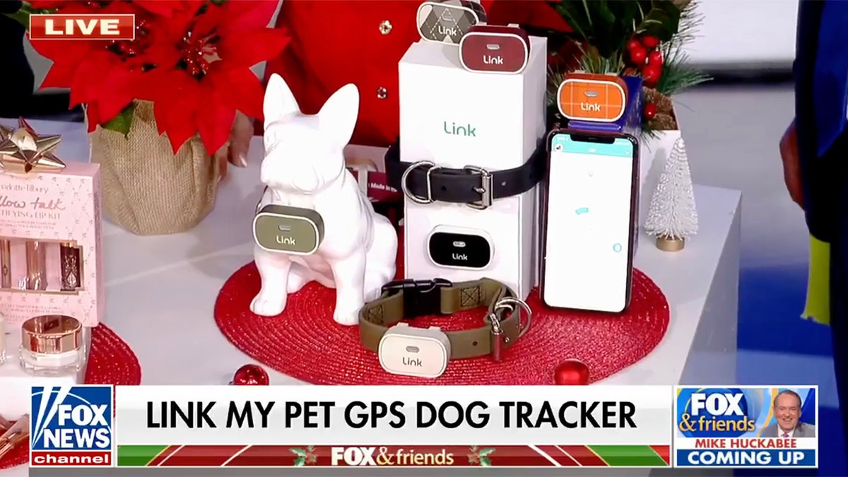 3 of the Best Last-Minute Holiday Gifts for Pets - Blog