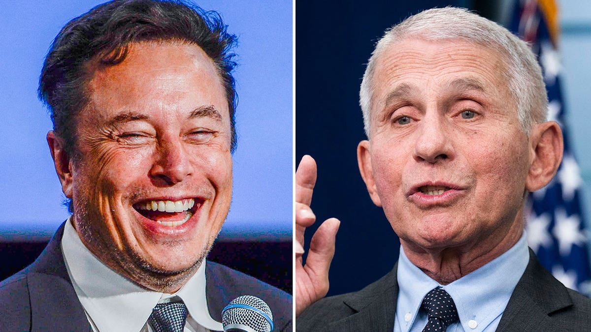 elon musk and anthony fauci split image