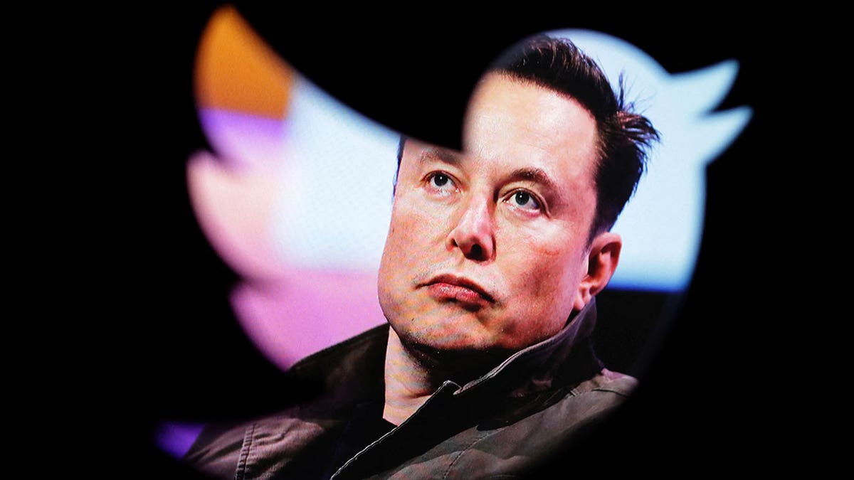 Elon Musk is seen with a stern face through the Twitter bird logo