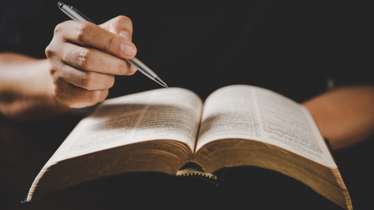 person studying Bible