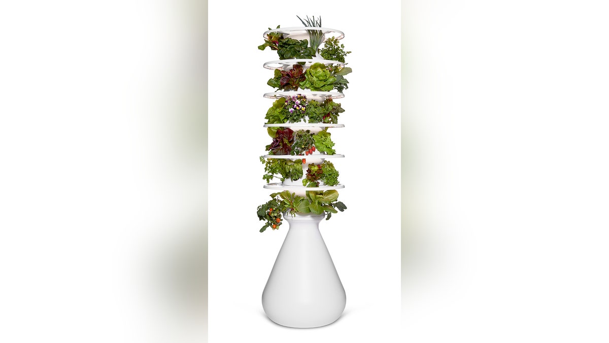 lettuce grow farmstand