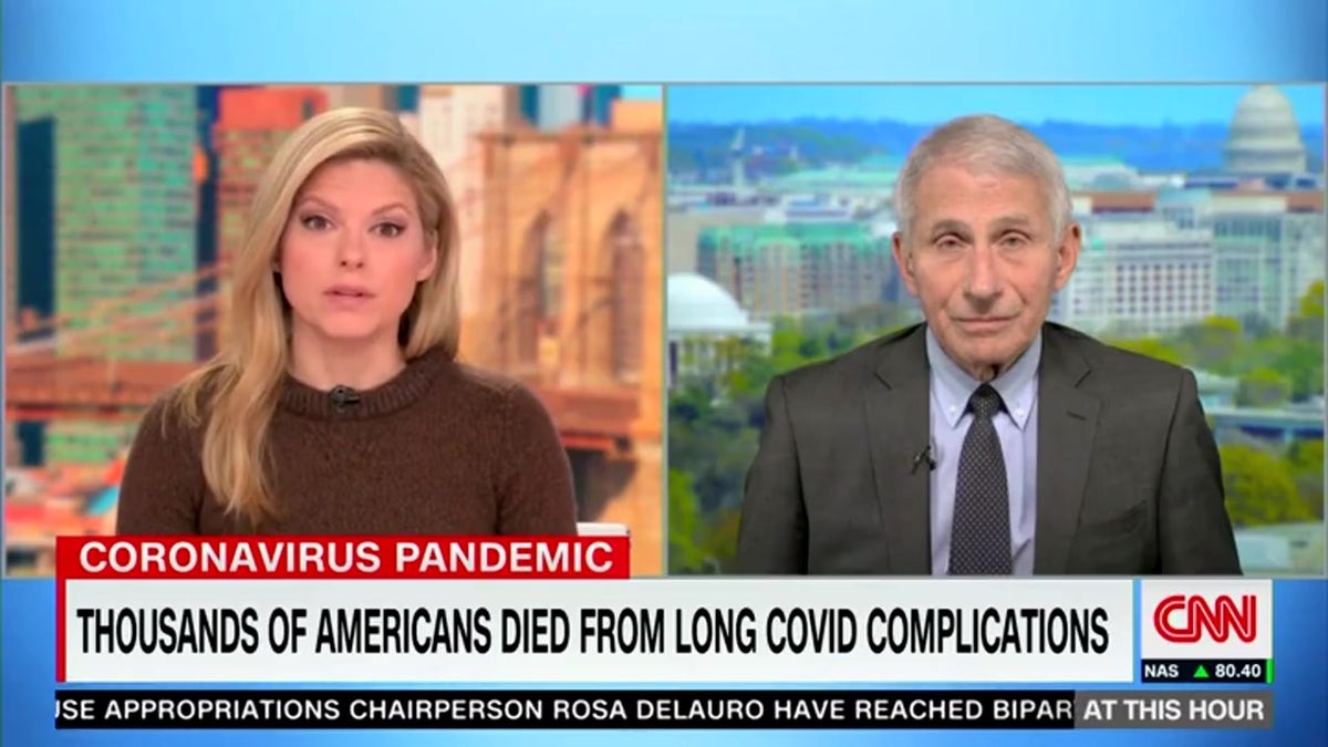 Fauci CNN