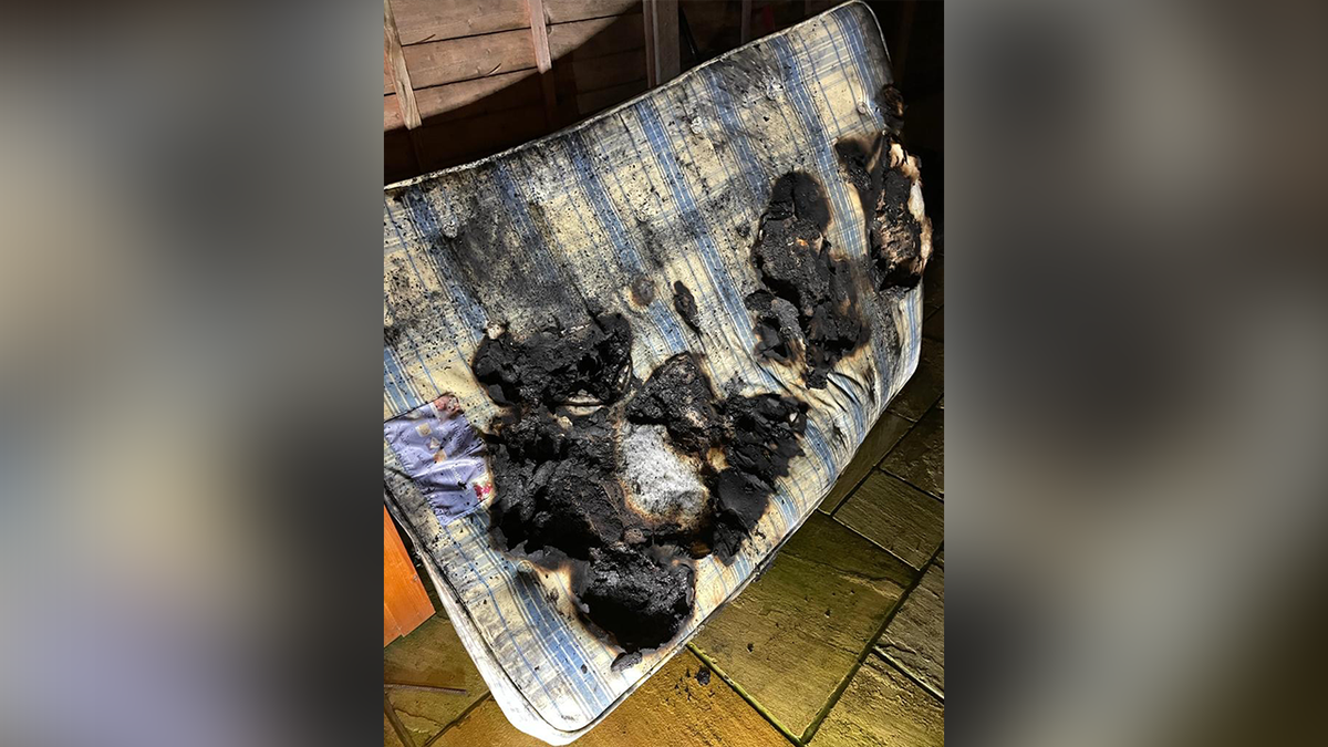 Dog accidentally sets house on fire