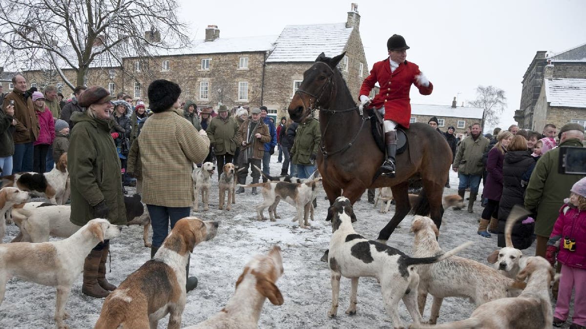 Photo of a Boxing Day fox hunt meet in North Yorkshire, England, from 2010. A man wears a red coat while he sits on a horse and speaks to a crowd. Hunting dogs surround him.