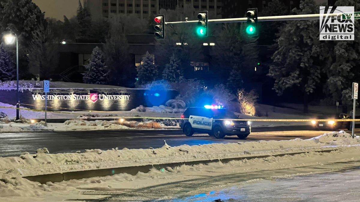 Patrol siren lights on while parking in middle of the road