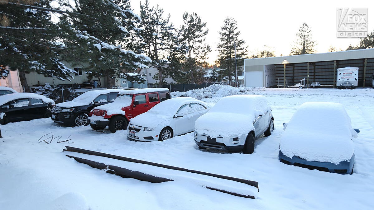 University of Idaho victims cars outside