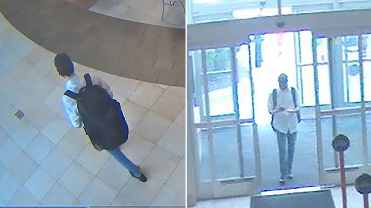 Indiana mall shooting suspect surveillance footage stills