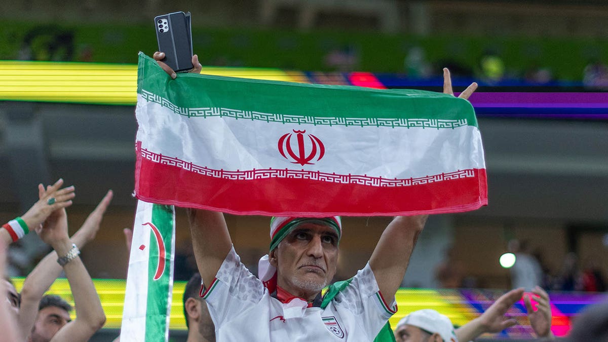 Iran fan at World Cup