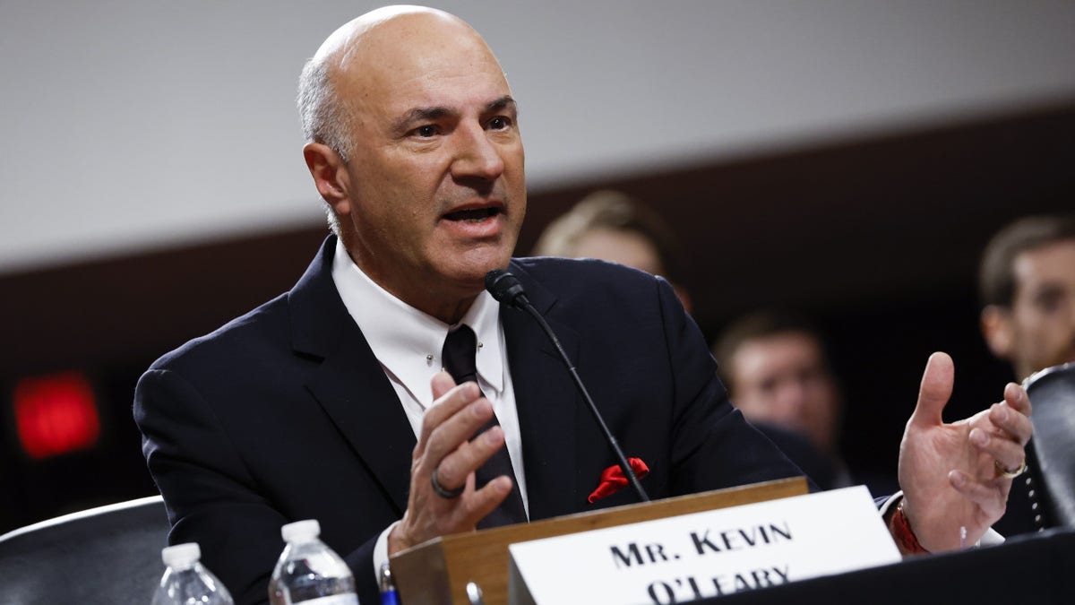 Venture investor and "Shark Tank" star Kevin OLeary testifies to the U.S. Senate