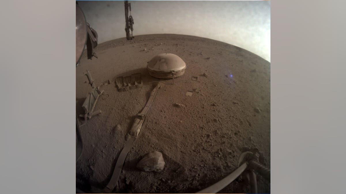 Insight lander