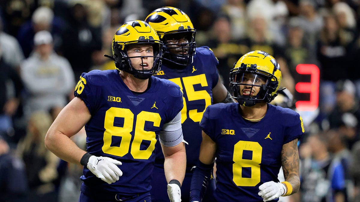 Michigan players celebrate touchdown