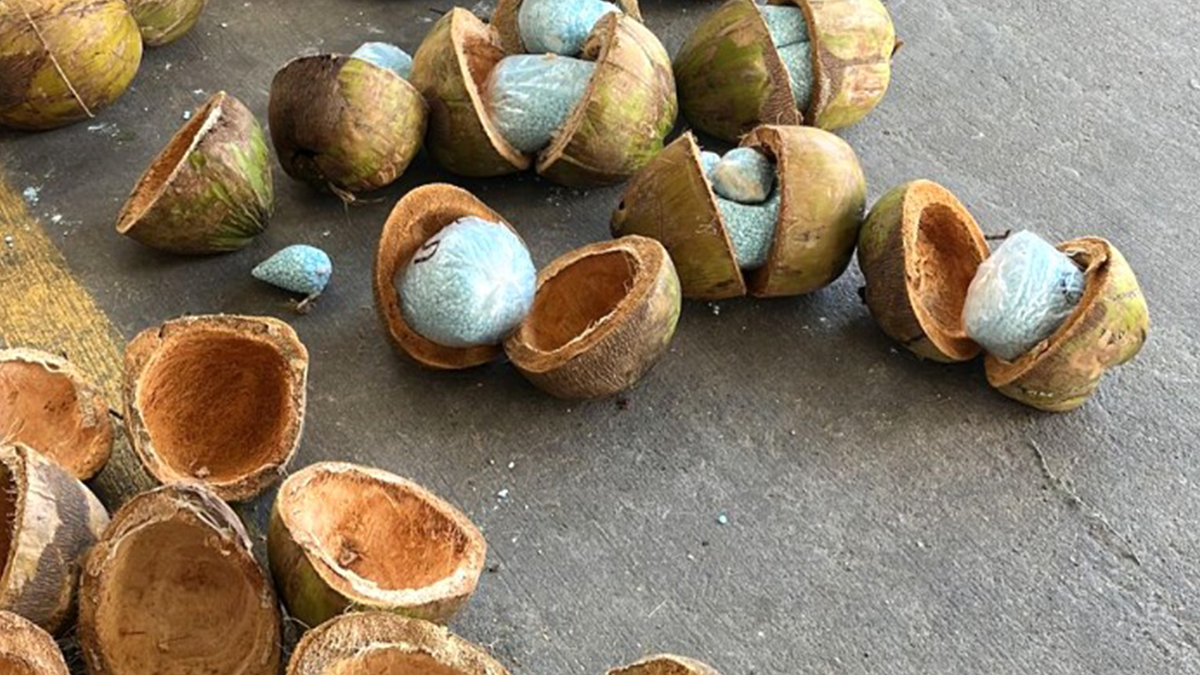 Fentanyl in coconuts