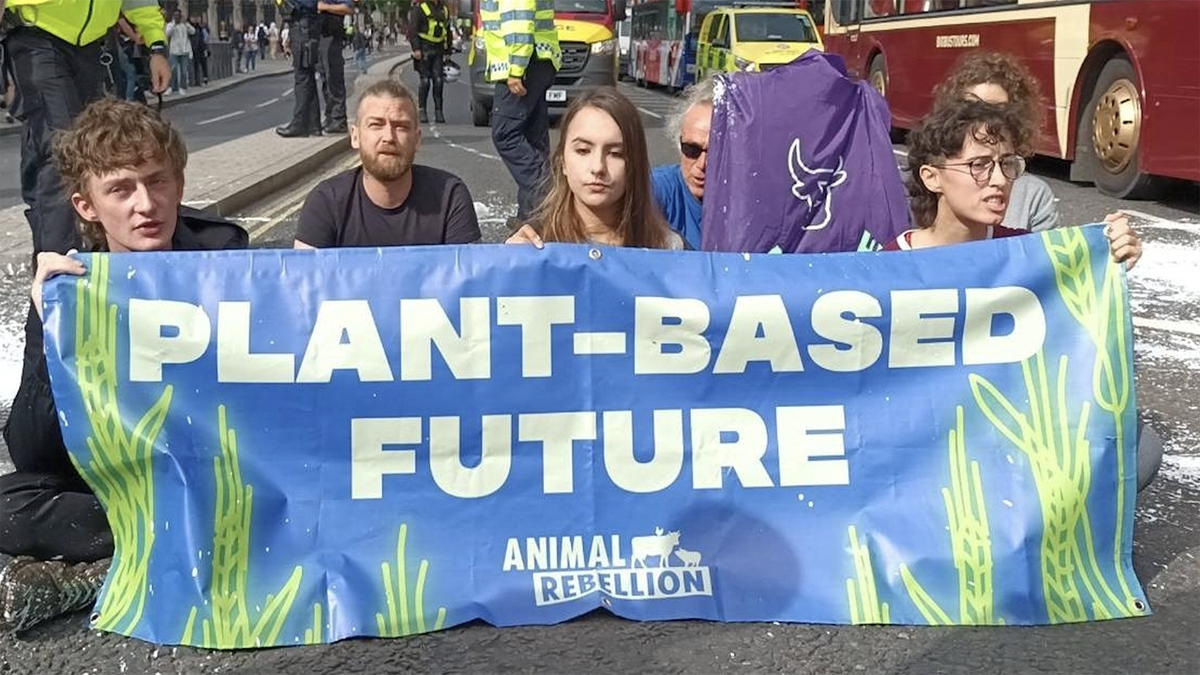 Animal rights activists stage Bond Street protests