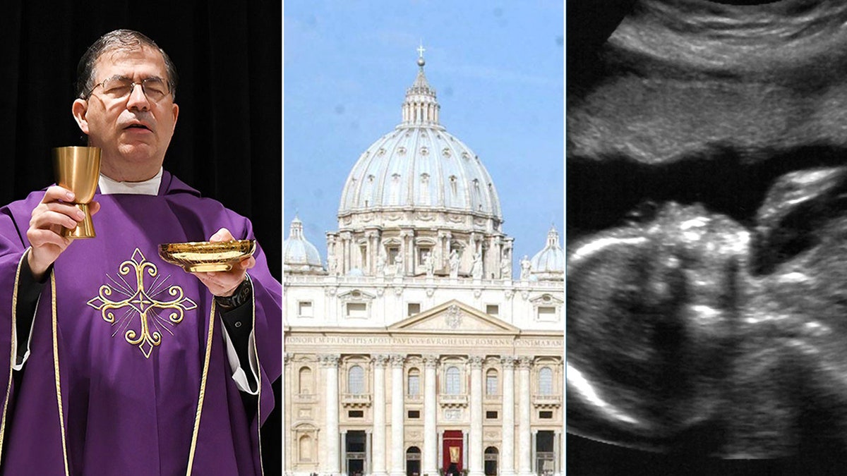 split of Pavone, Vatican and ultrasound