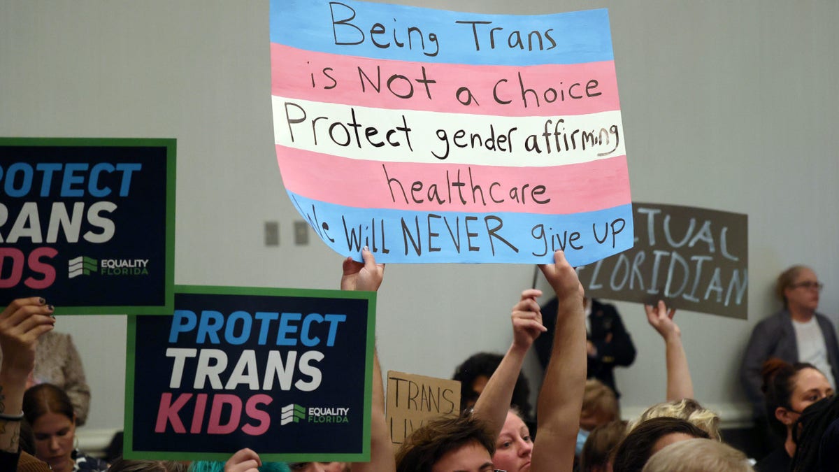 Protesters with pro-trans rights signs