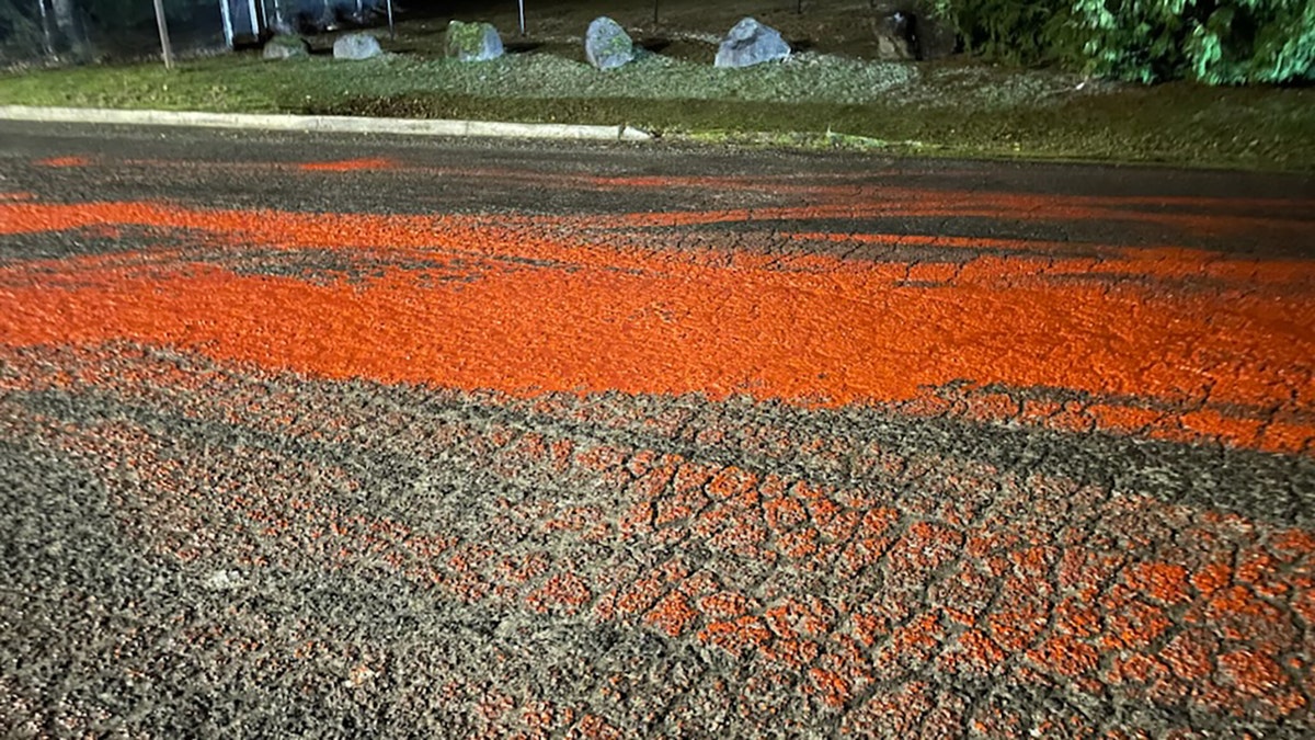 road covered in red liquid