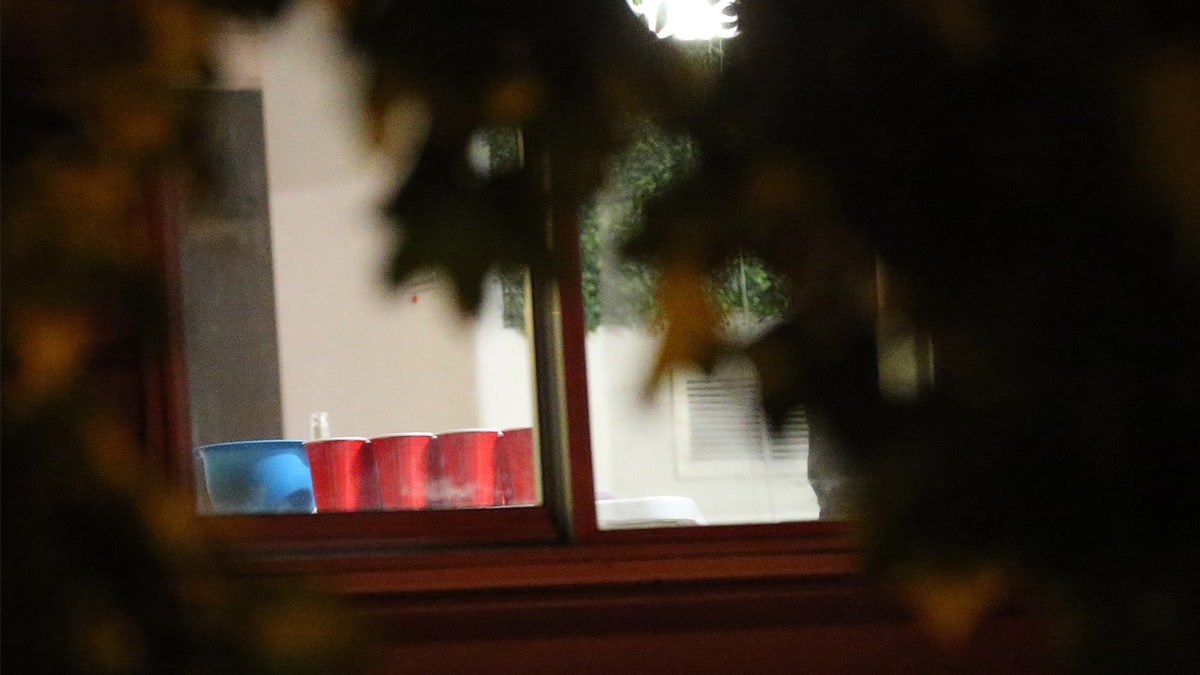 Red Cups near window