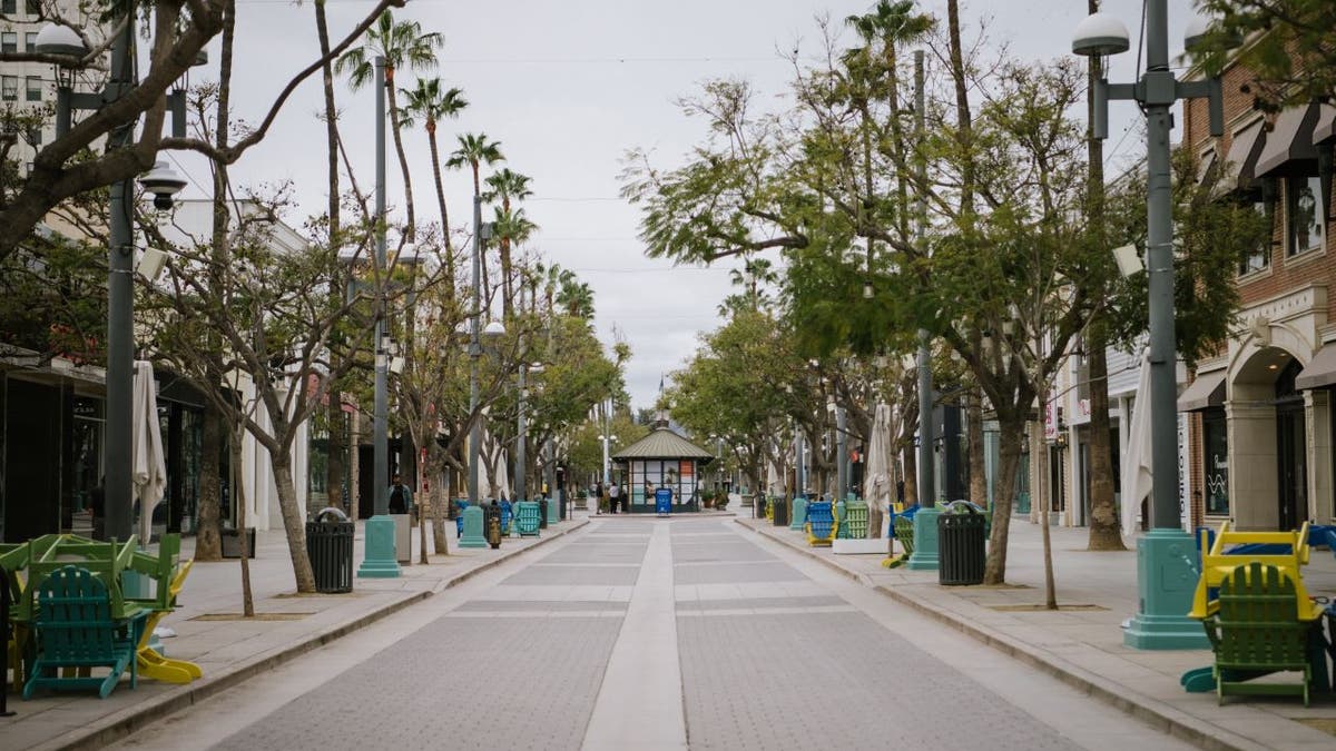 A homless man sleeps in a Santa Monica park