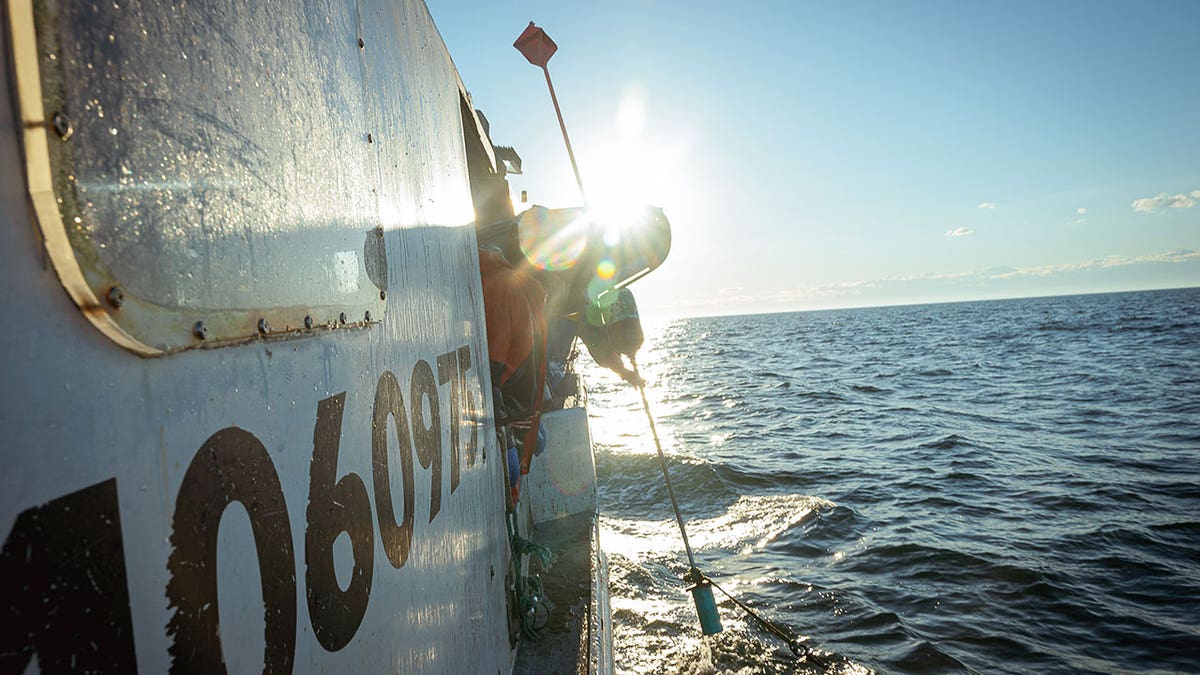 fisherman reeling in buoy onto boat