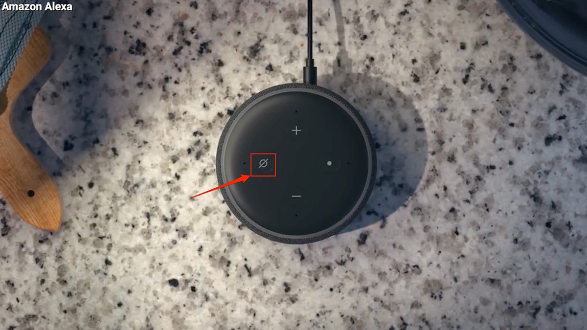 Amazon Alexa device privacy settings
