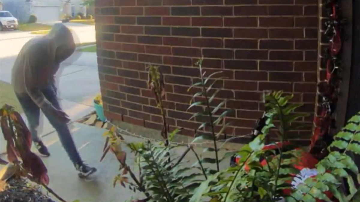 Porch pirate stealing packages before bringing them back