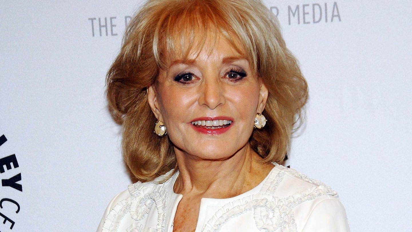 Meryl Streep: Biographer's Pick for Barbara Walters in Movie