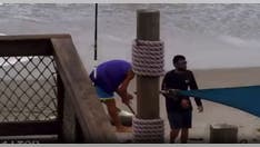 Video shows man who allegedly beat shark with a hammer, dragged it across Florida beach