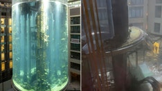 Massive Berlin aquarium with 1,500 fish bursts, injuring 2 and flooding hotel with 260K gallons of water