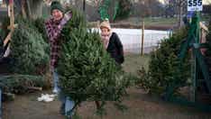 Demand for Christmas trees in America remains high despite inflation