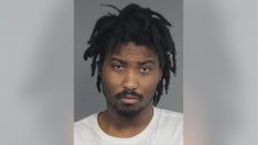 Michigan man shot by motorist during botched carjacking: police