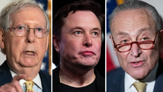Elon Musk taunts Schumer, McConnell after Twitter poll shows opposition to omnibus bill: 'People have spoken'