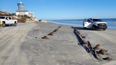 Florida beach mystery: Debris found on shore after hurricane