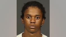 New York City 'baby face killer' sought after gruesome apartment deadly stabbing of 16-year-old girl