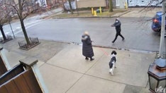 Brazen daylight robbery of elderly Chicago woman at gunpoint caught on camera