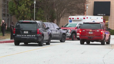 Georgia teenager accidentally shoots himself at shopping mall