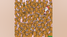 Christmas puzzle: How fast can you find Rudolph among the reindeer?