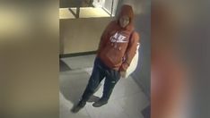 New York woman tased, robbed Uber driver after ride