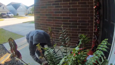 Texas porch pirates return packages they stole: 'It was shocking'