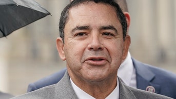 Texas congressman Henry Cuellar carjacked at gunpoint in Washington, DC