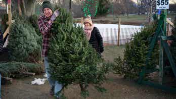 'Too early for Christmas'? Americans clash as stores push holiday tree sales