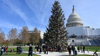 HOLIDAY PEACE OFFERINGS: What would you gift a member of the opposite political party? Americans respond