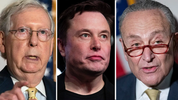 Elon Musk taunts Schumer, McConnell after Twitter poll shows opposition to omnibus bill: 'People have spoken'